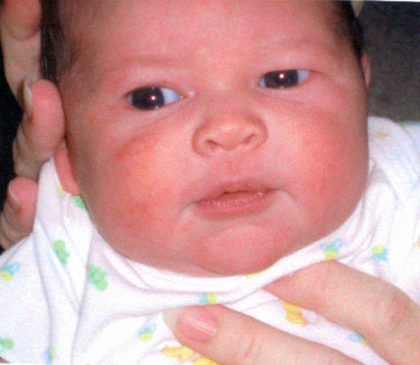 andi5pic.jpg